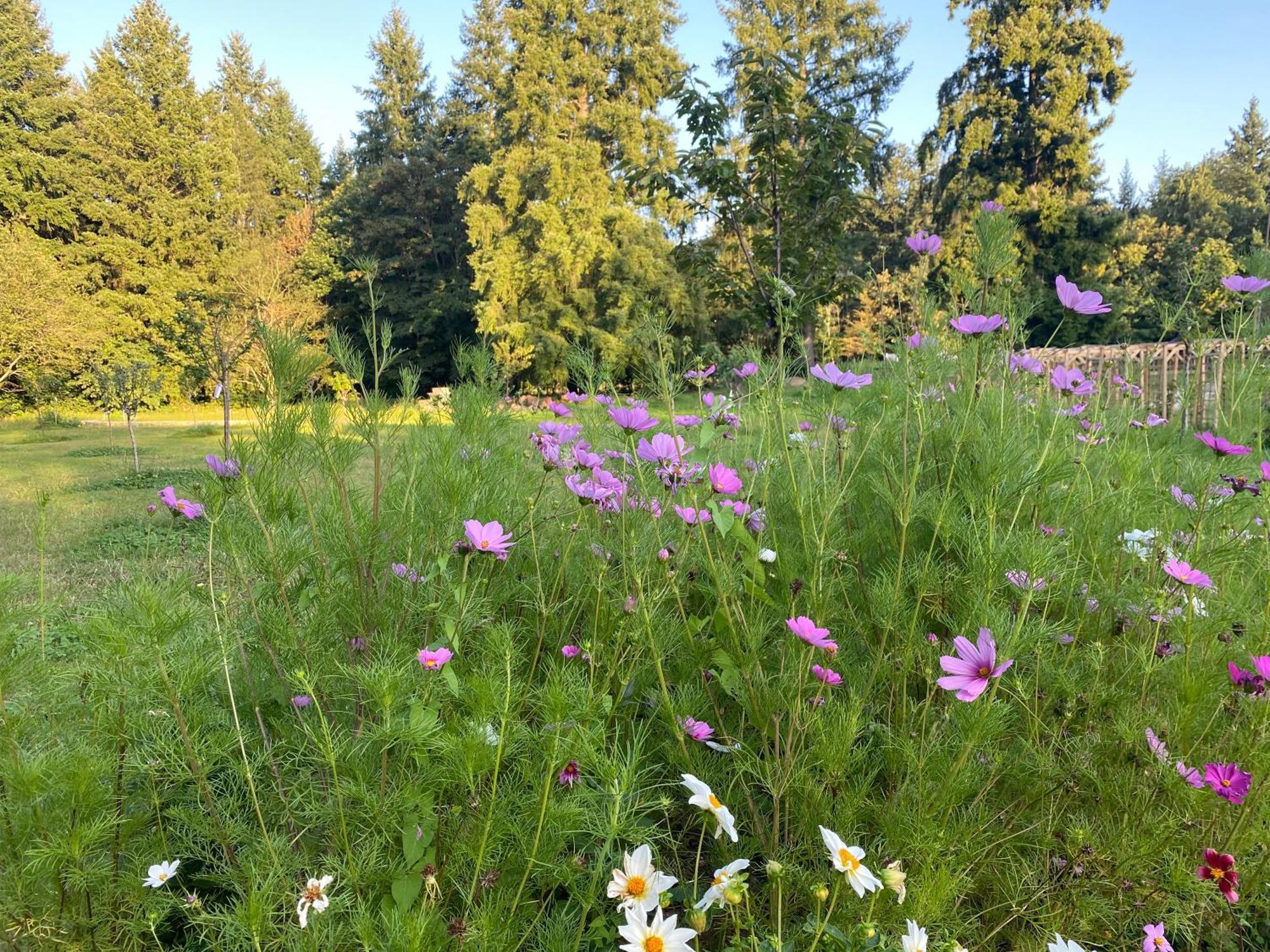 Maison Dans Parc Prive, Sports Et Loisirs Proche Golf Du Coudray Montceaux Ле-Кудре-Монсо Экстерьер фото