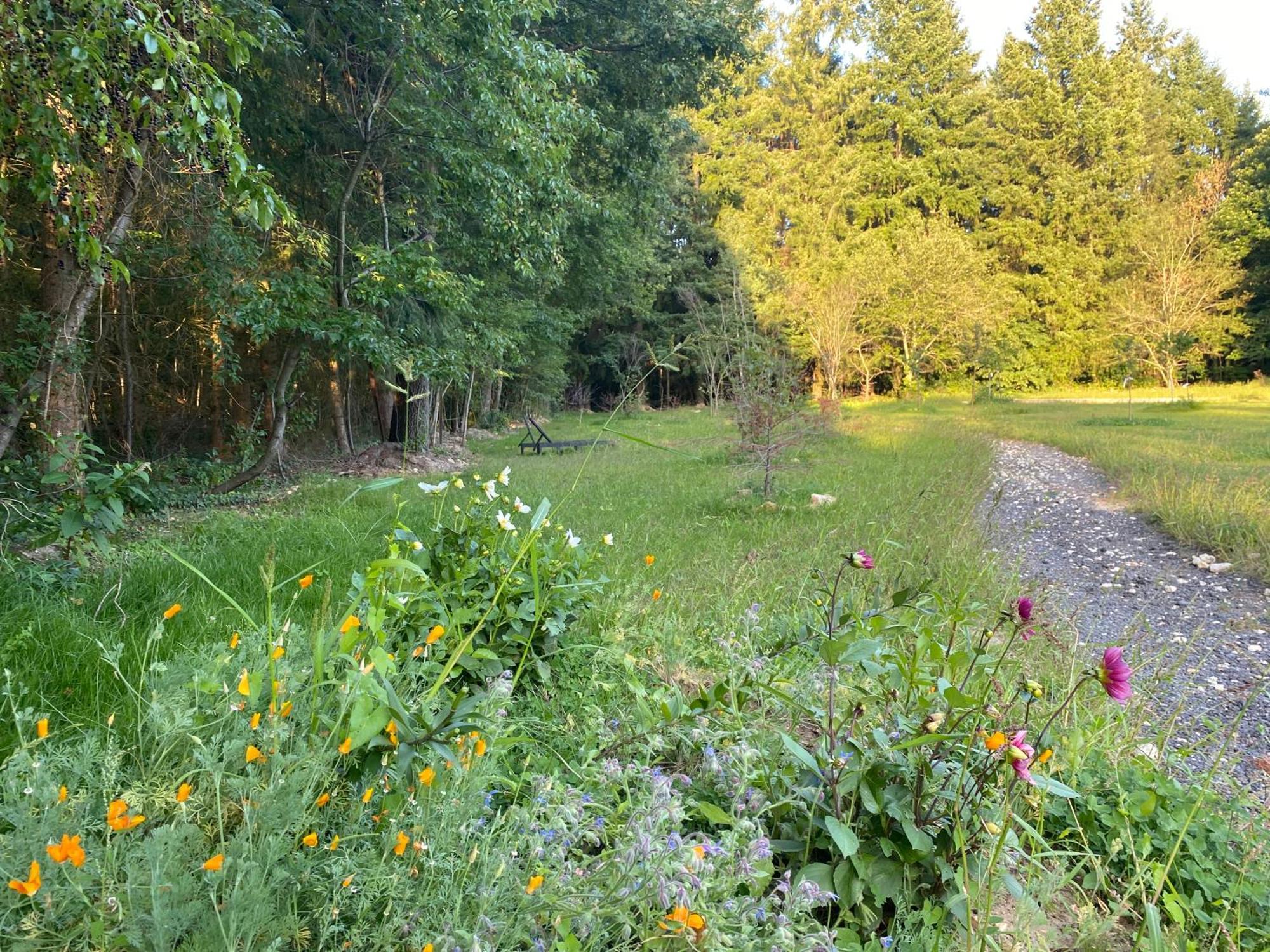 Maison Dans Parc Prive, Sports Et Loisirs Proche Golf Du Coudray Montceaux Ле-Кудре-Монсо Экстерьер фото
